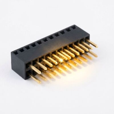 2.54mm Pitch Dual Row Elevated 15mm Conector de cabecera femenino con pierna larga